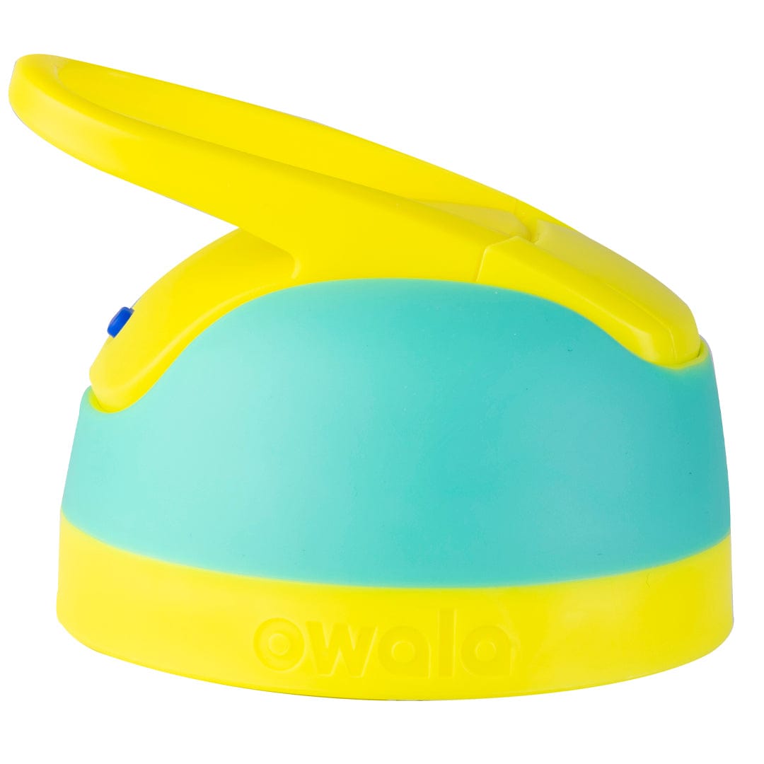 Replacement Lids 21L6