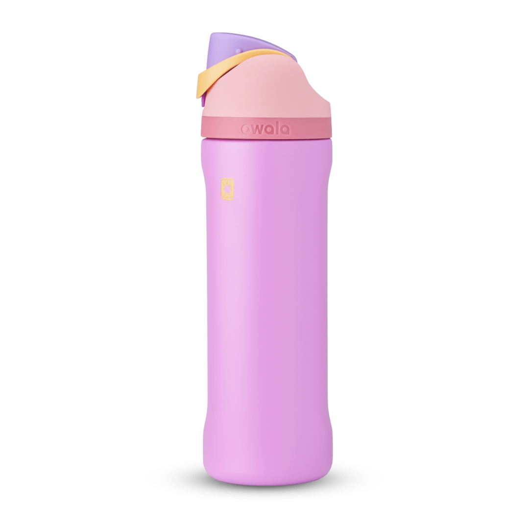 Disney Princess Collection FV0A